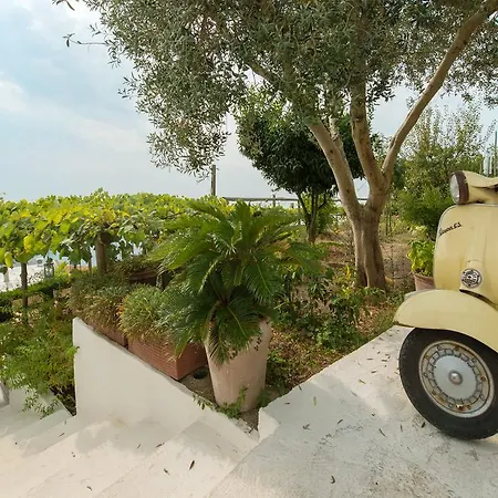 La Casa Dell'ulivo 펜션